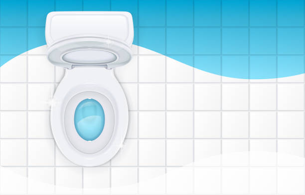 Toilet bowl with open cover. Vector illustration. Toilet bowl with open cover for water closet. Top view sanitary equipment for domestic bathroom. Realistic ceramic pan. Cleaning wc design. EPS10 vector illustration. toilet bowl stock illustrations