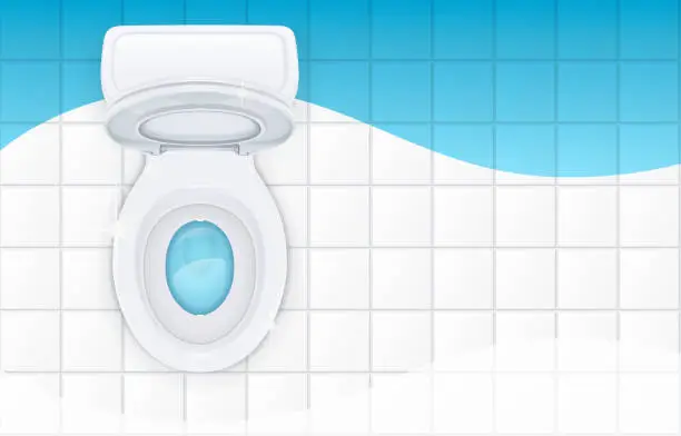 Vector illustration of Toilet bowl with open cover. Vector illustration.