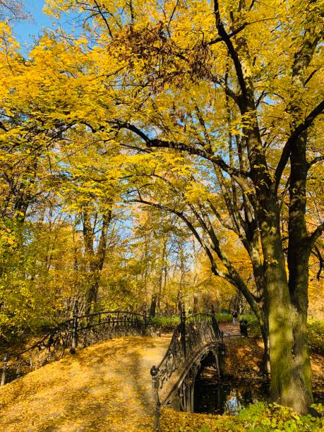 istock Public park in fall time in Europe 1064514760
