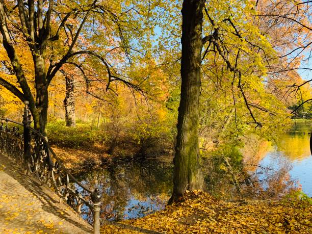 istock Public park in fall time in Europe 1064514784