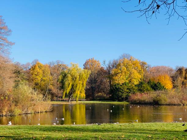 istock Public park in fall time in Europe 1064514800