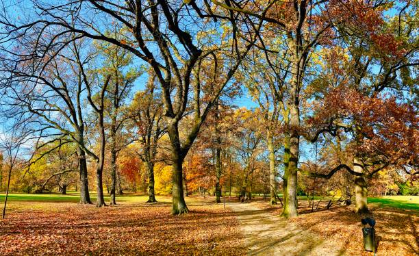 istock Public park in fall time in Europe 1064514942