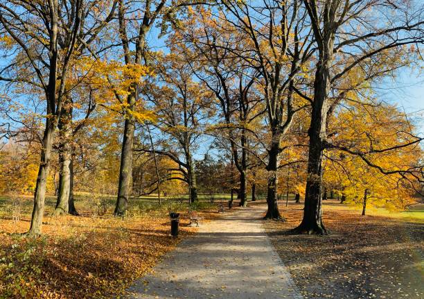 istock Public park in fall time in Europe 1064515060
