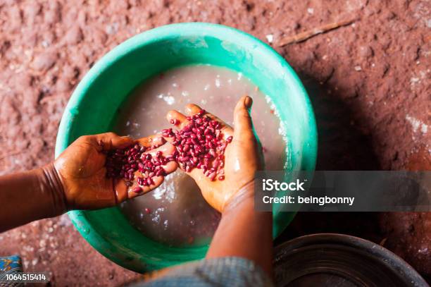 Hands Of African Woman Holding Red Beans View From Above In Village Kitchen While Cooking Food Stock Photo - Download Image Now