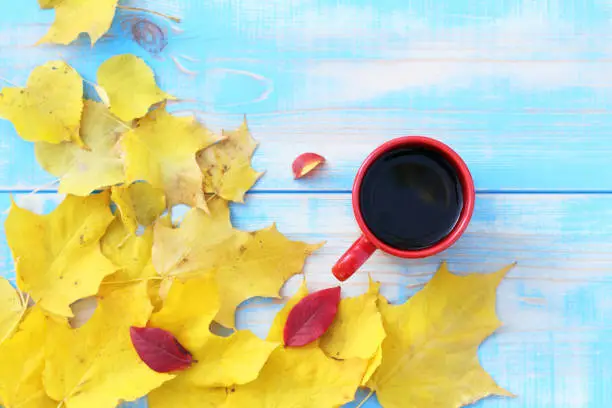 yellow leaves and hot drink on a blue wooden table top view