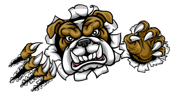 illustrazioni stock, clip art, cartoni animati e icone di tendenza di bulldog sports mascotte strappando attraverso lo sfondo - english bulldog