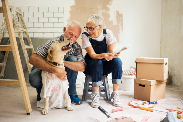 istock Couple remodeling their home 1064519364