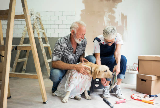 istock Couple remodeling their home 1064519416