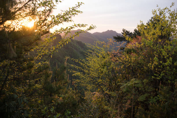 istock Zhangjiajie national park 1064519760