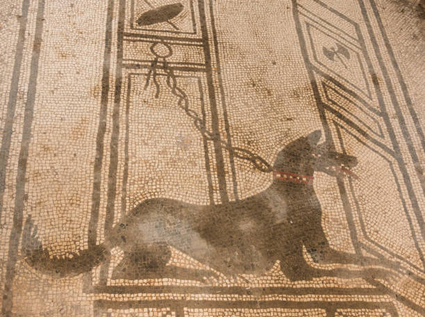 istock Mosaic at Pompeii ruins 1064519844