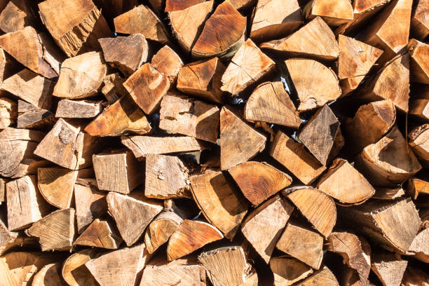 Stacked firewood for winter