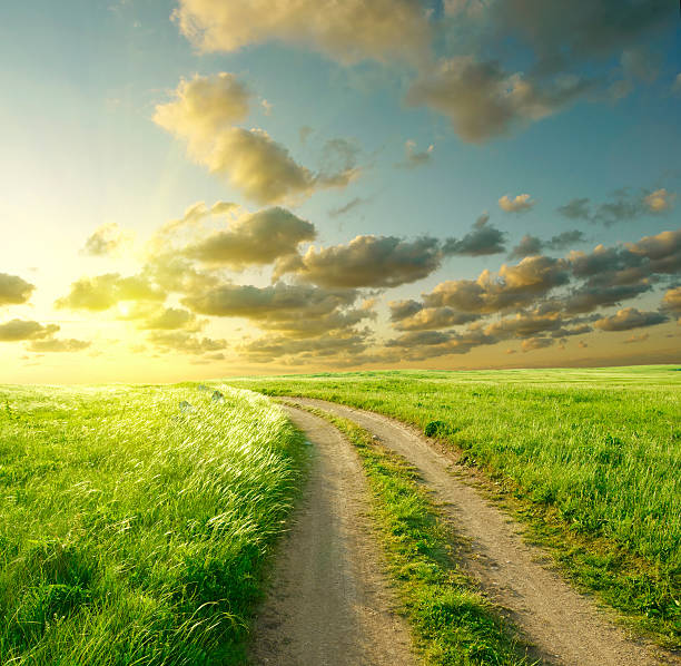 istock Unpaved road going through grass field in a sunny day 106452309