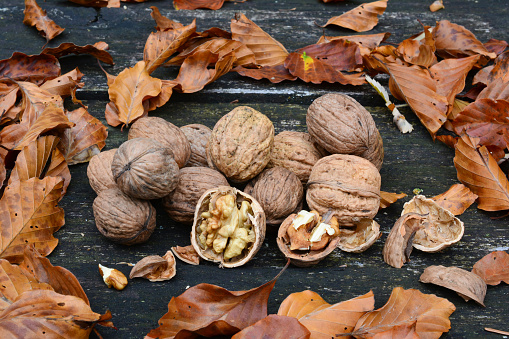 Peeled walnut with visible cernel and broken shell in foreground and heap of walnuts and autumn leaves on old oak table, side view
