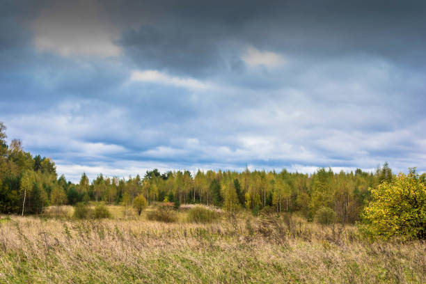 istock Beautiful autumn landscape on a cloudy day with a cloudy sky. 1064527386