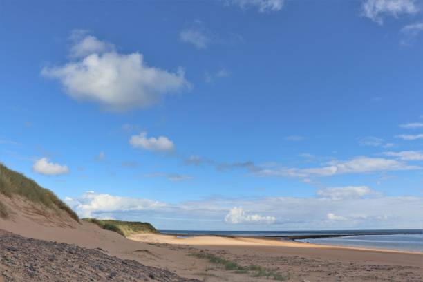 istock Fluffy white clouds over beach and sand dunes 1064530222
