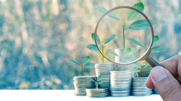 istock investment growing money of tree leaf infestation 1064541702