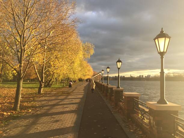 istock autumn trees in the park with lanterns 1064541710