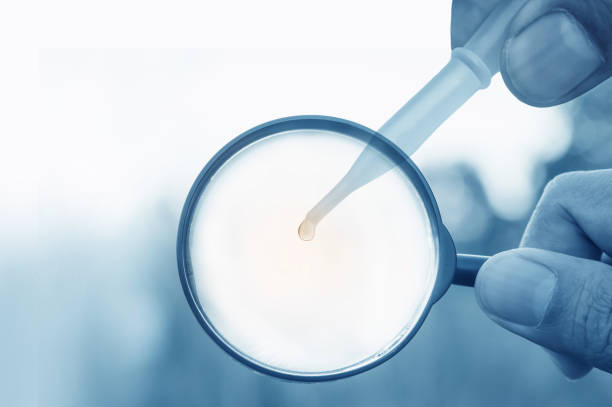 istock Searching for medicines of vaccine 1064543956