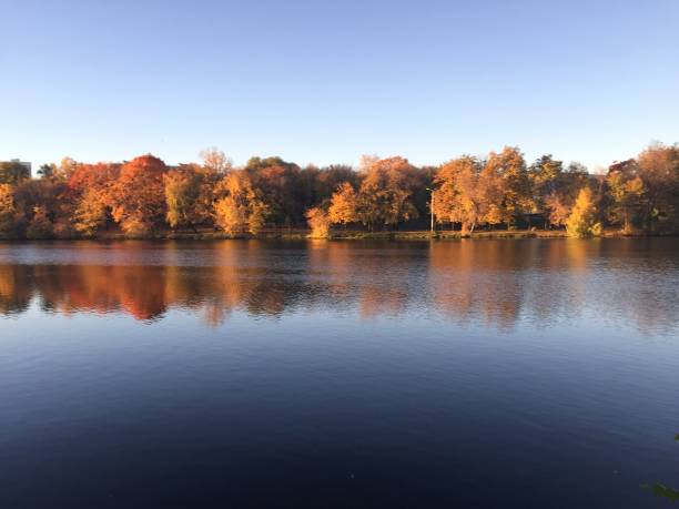 istock dawn of the sun over the pond 1064544650