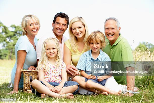 Family Having Picnic In Countryside Stock Photo - Download Image Now - 30-39 Years, 4-5 Years, 40-49 Years