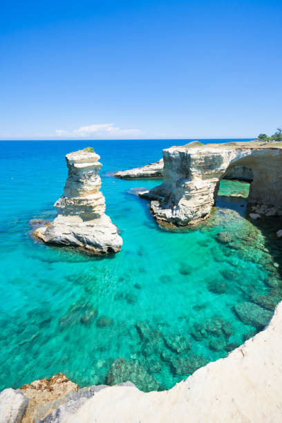 istock Sant Andrea, Apulia - Diving into the Mediterranean Sea from the huge cliffs 1064546490