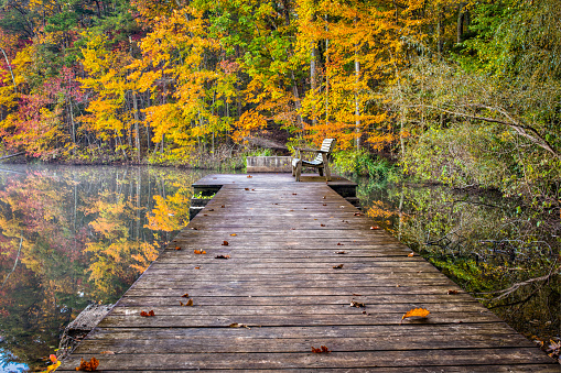 The bench sits in a tranquil part of a lake inviting you to soak in the fall colors.