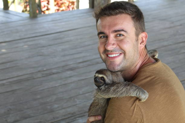 istock Tender man taking care of a sloth 1064552296
