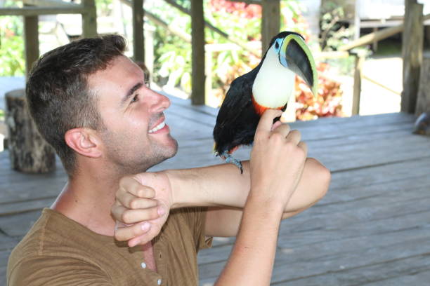 istock Bird tamer working with a toucan 1064552344