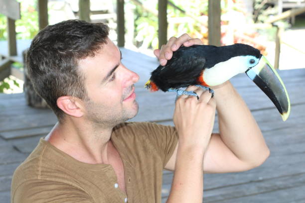 istock Man petting a colourful toucan bird 1064552346