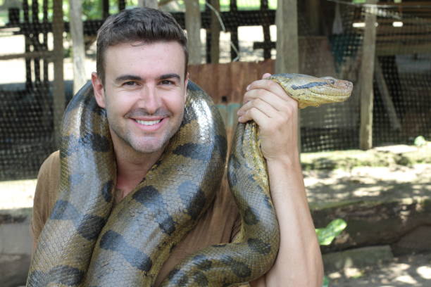 istock Strong man holding gigantic anaconda 1064552366