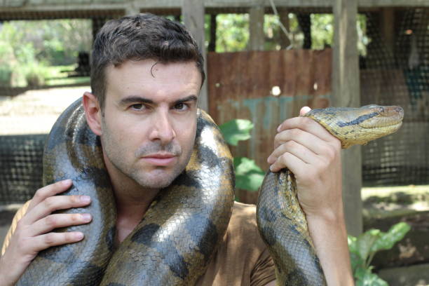 istock Brave man fighting a gigantic snake 1064552376