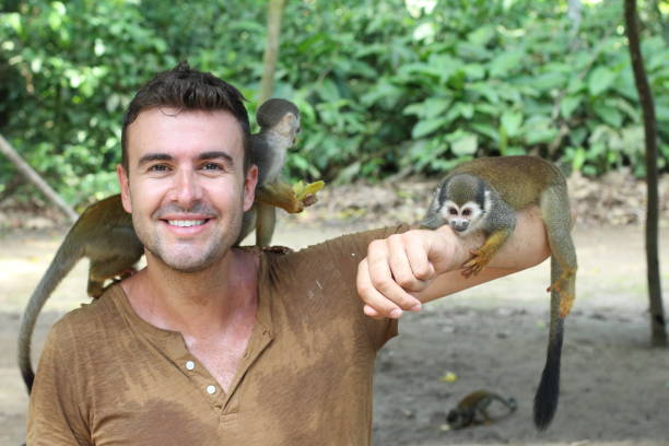 Man establishing in contact with monkeys