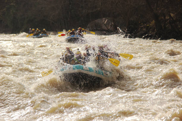 persone rafting - teamwork oar achievement sports team foto e immagini stock