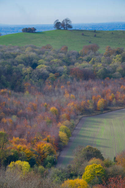istock Autumn Scenic From The Chiltern Hills 1064558596