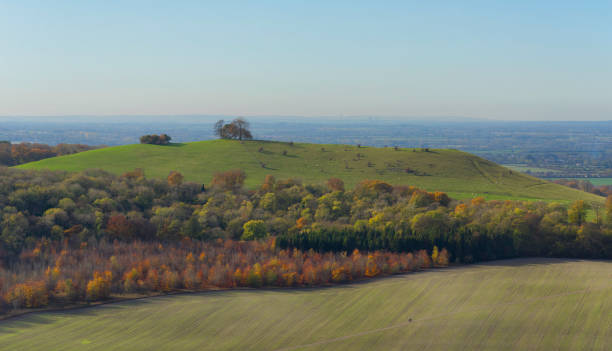 istock Autumn Scenic From The Chiltern Hills 1064558646