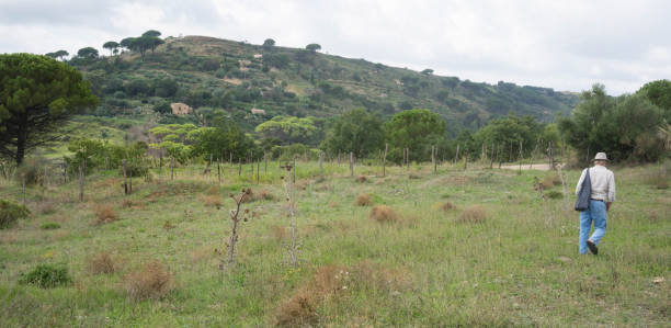 istock Landscape Sicily, Italy 1064563442