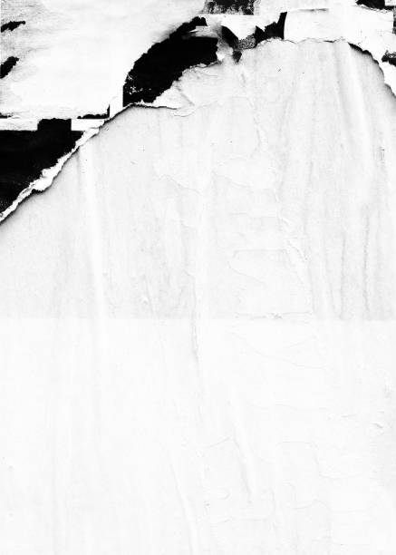 istock Blank white black old ripped torn paper crumpled creased posters grunge textures backdrop backgrounds placard 1064565196