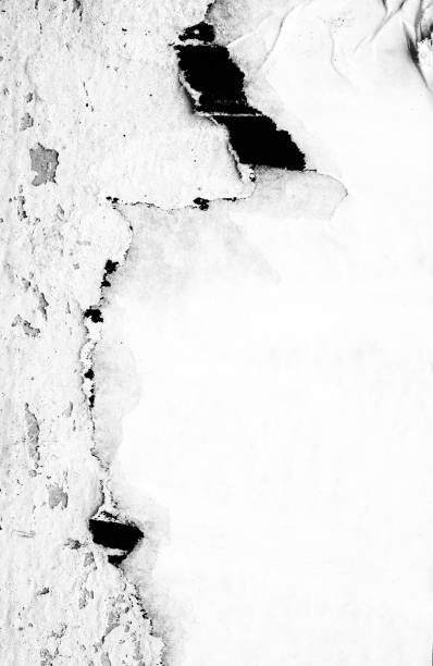 istock Blank white black old ripped torn paper crumpled creased posters grunge textures backdrop backgrounds placard 1064565562