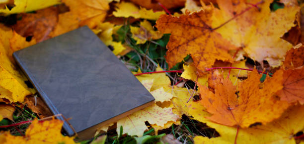 istock fallen autumn leaves lie on the ground 1064570058