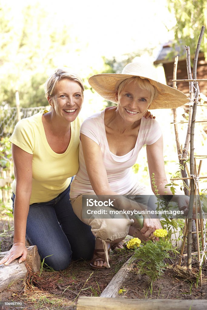 Mujer y su hija adulta Senior relajante en el jardín - Foto de stock de Hijo adulto libre de derechos