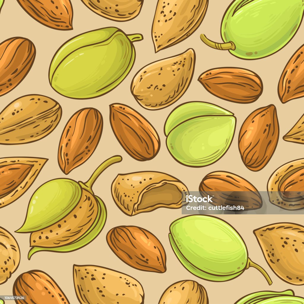 modèle vectoriel noix amande - clipart vectoriel de Agriculture libre de droits