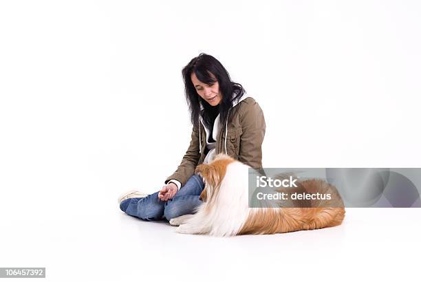 Woman And Collie Stock Photo - Download Image Now - Adult, Collie, Color Image