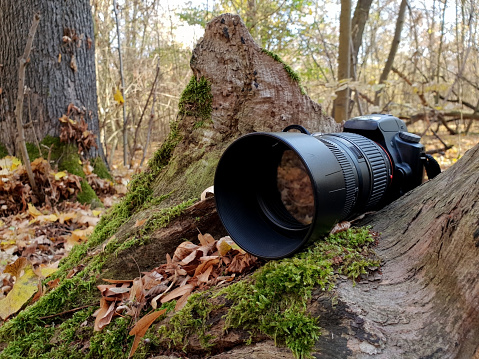 SLR camera in nature icon