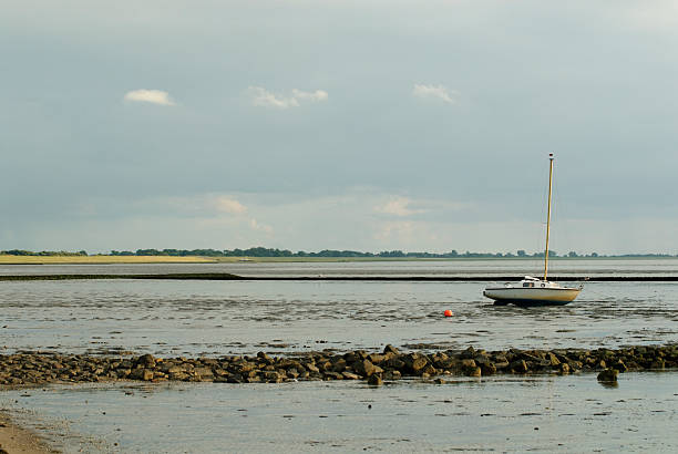 istock Wadden Sea - 