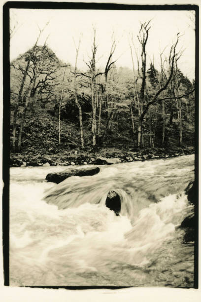istock Turbulent flow of a mountain river. 1064578742