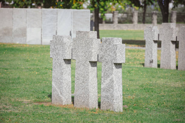 istock stone memorial monuments placed in row on grass at cemetery 1064578894