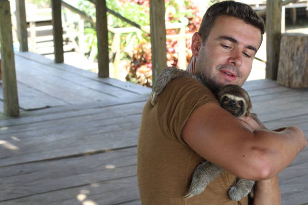 istock Tender man taking care of a sloth 1064580228