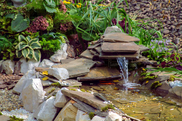 piękne kwitnące rośliny na małym podwórku - fountain in garden zdjęcia i obrazy z banku zdjęć