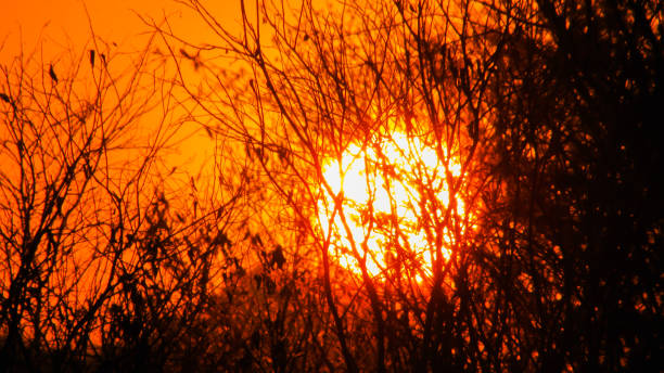istock Sunset a beautiful sky orange golden clouds 1064582998