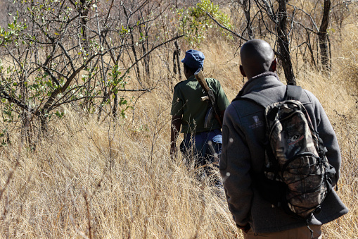 Matobo National Park, Zimbabwe, 11 September 2018. Trekking through the African bush can be a risky business, which is why it is necessary to be accompanied by an armed game guard. In this case, the park ranger is backpacking a rifle. Zimbabwe has a shoot to kill policy when it comes to game poachers.
